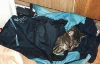 Backpack sleepingbag